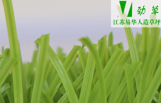 屋頂人造草坪足球場