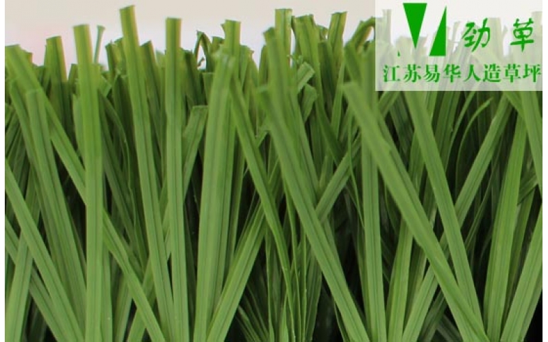 你知道嗎，球場(chǎng)已經(jīng)搬到樓頂了，人造草坪又要火了