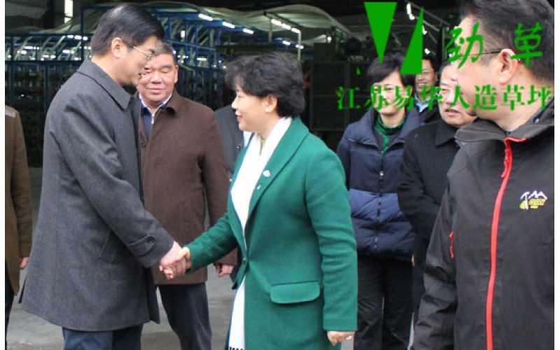 宿遷市委書記魏國強協(xié)市委常委，開發(fā)區(qū)黨工委書記張昊以及各部門負(fù)責(zé)人來我廠參觀指導(dǎo)